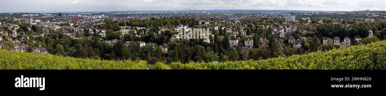 Vista panoramica del vigneto, delle ville del Nerotal e della capitale dello stato di Wiesbaden in Germania Foto Stock