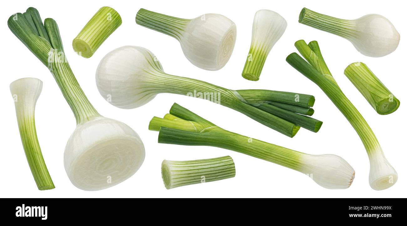 Cipolla verde isolato su sfondo bianco con tracciato di ritaglio Foto Stock