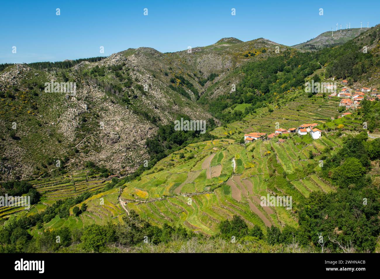 Vista delle terrazze di Sistelo Foto Stock