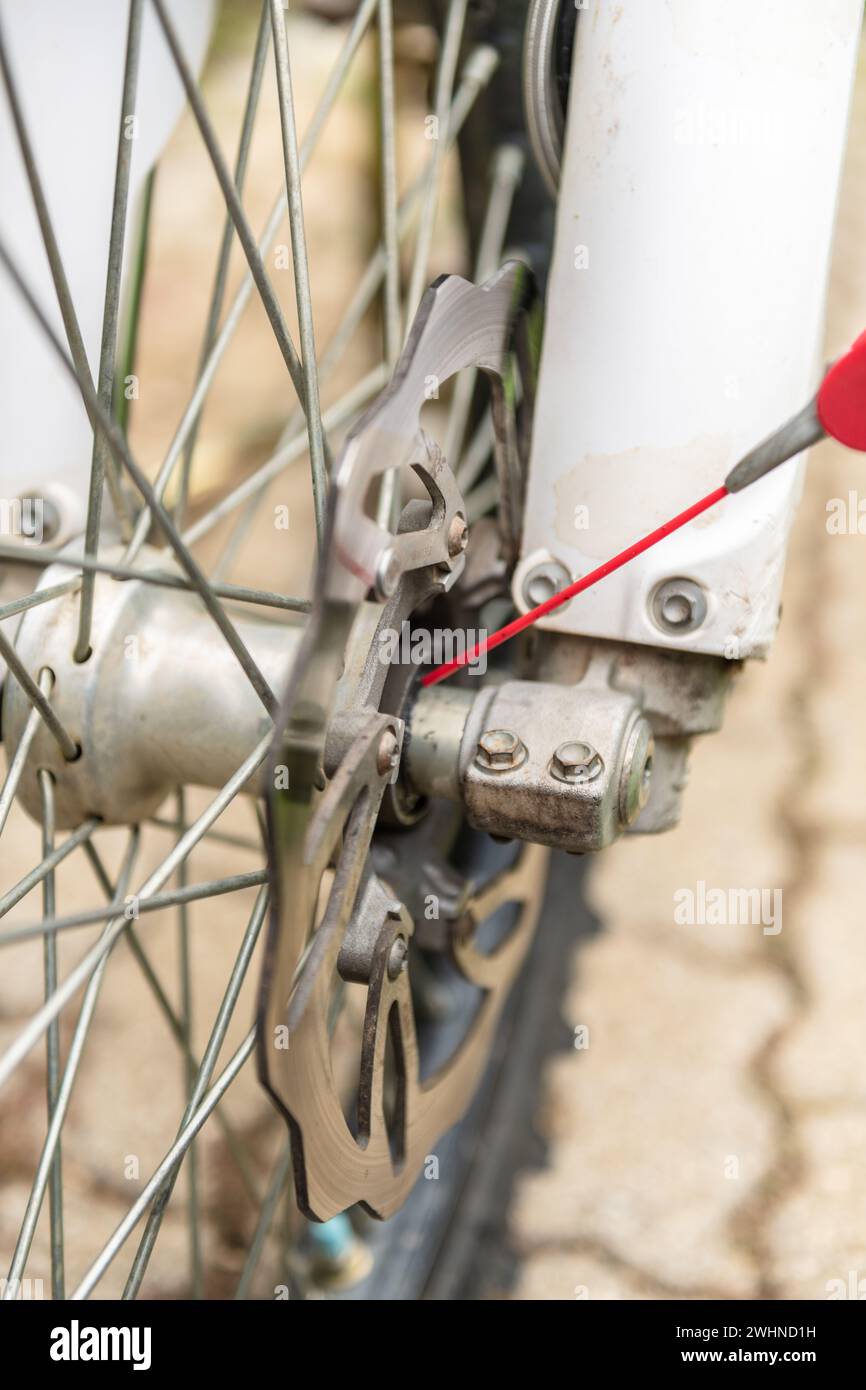 Lubrificazione dei cuscinetti delle ruote della motocicletta Foto Stock