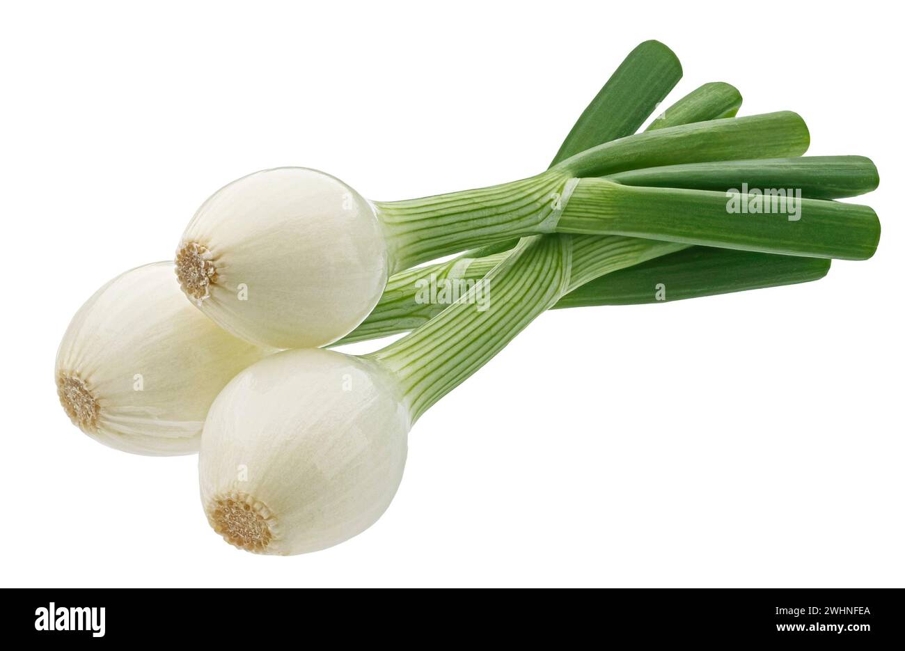 Cipolla verde isolato su sfondo bianco con tracciato di ritaglio Foto Stock