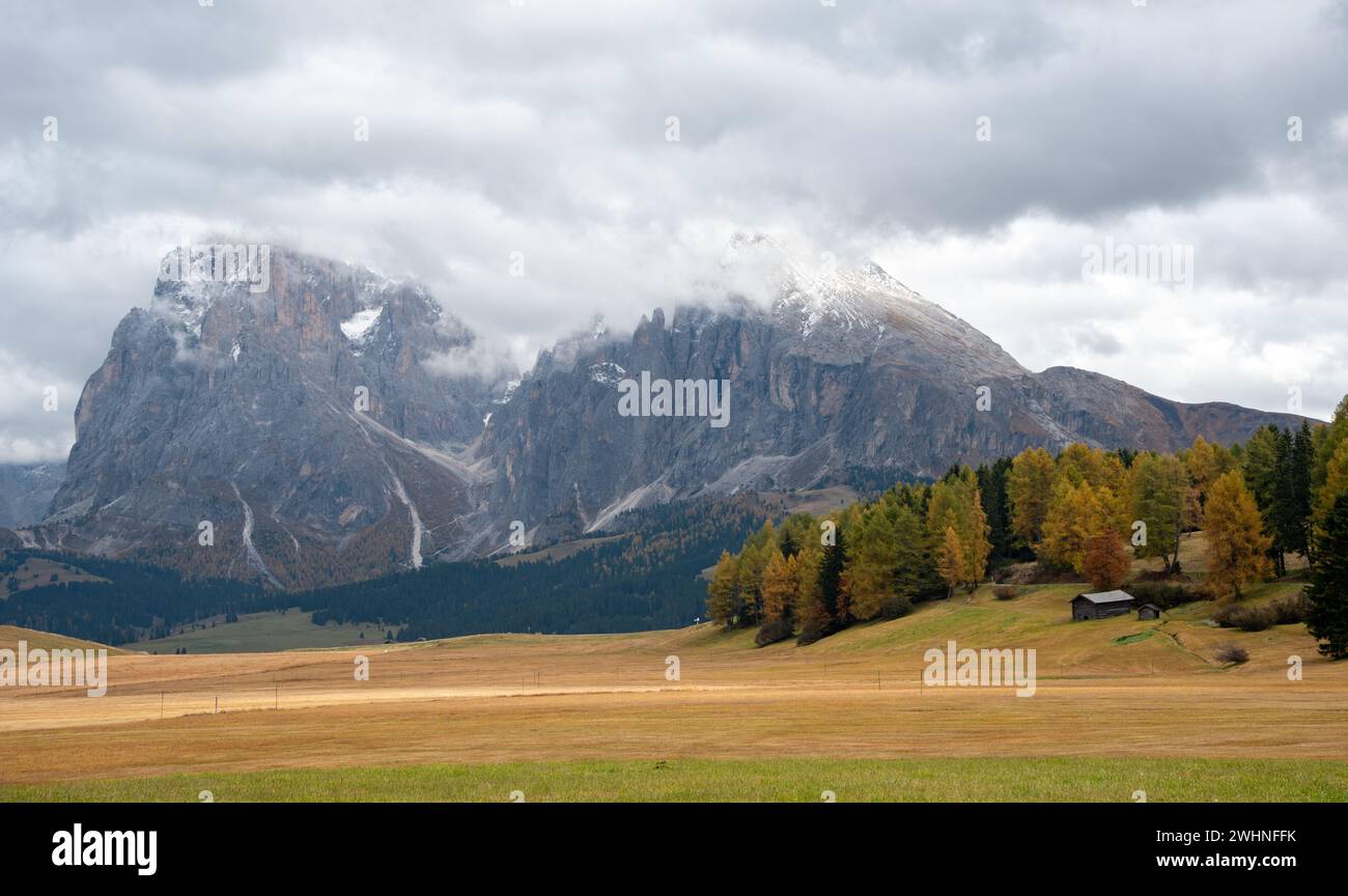 Prato autunnale. Cime rocciose dolomitiche. Alpe di siusi, Italia. Foto Stock