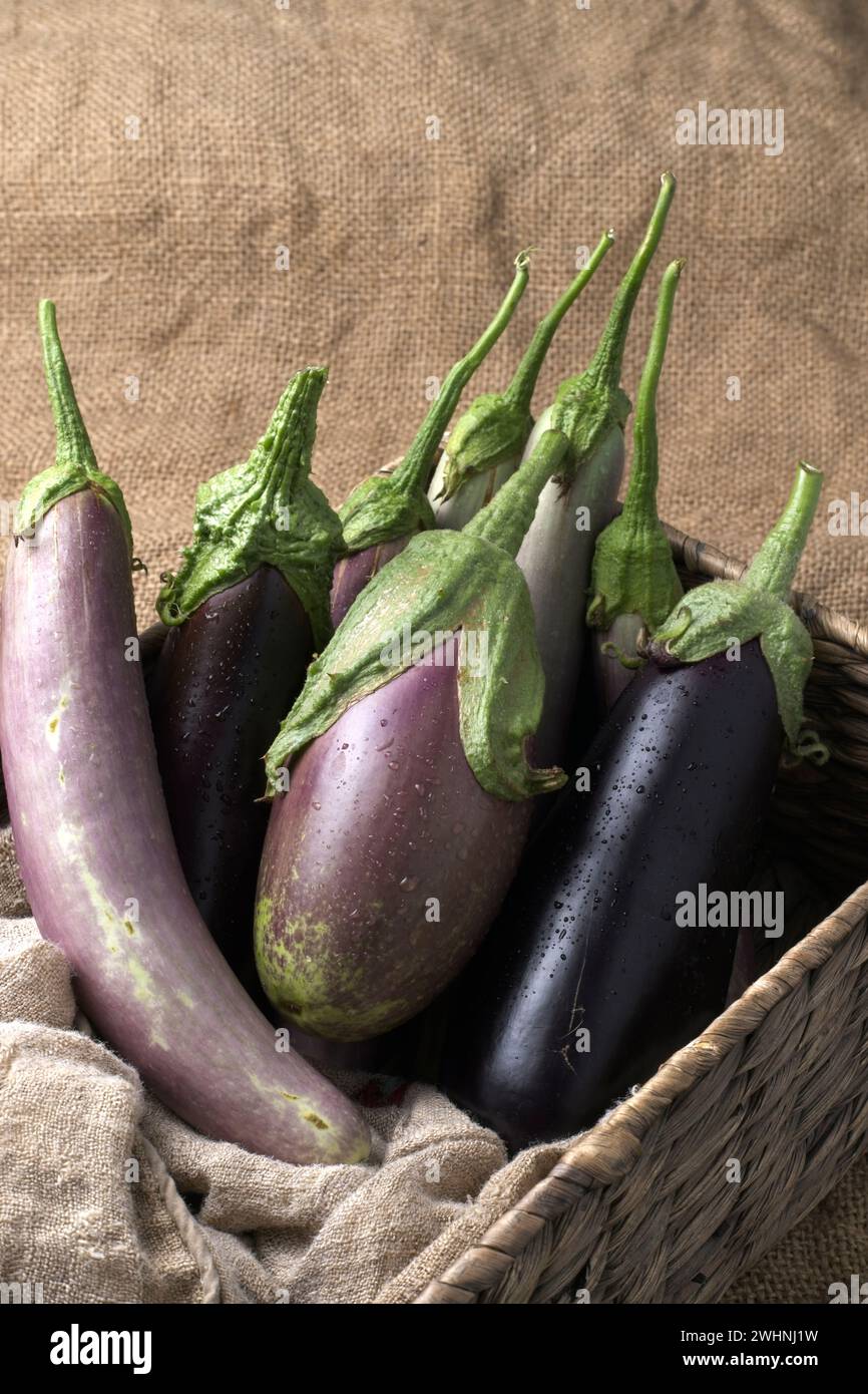 Varie melanzane in un cestino. Foto Stock