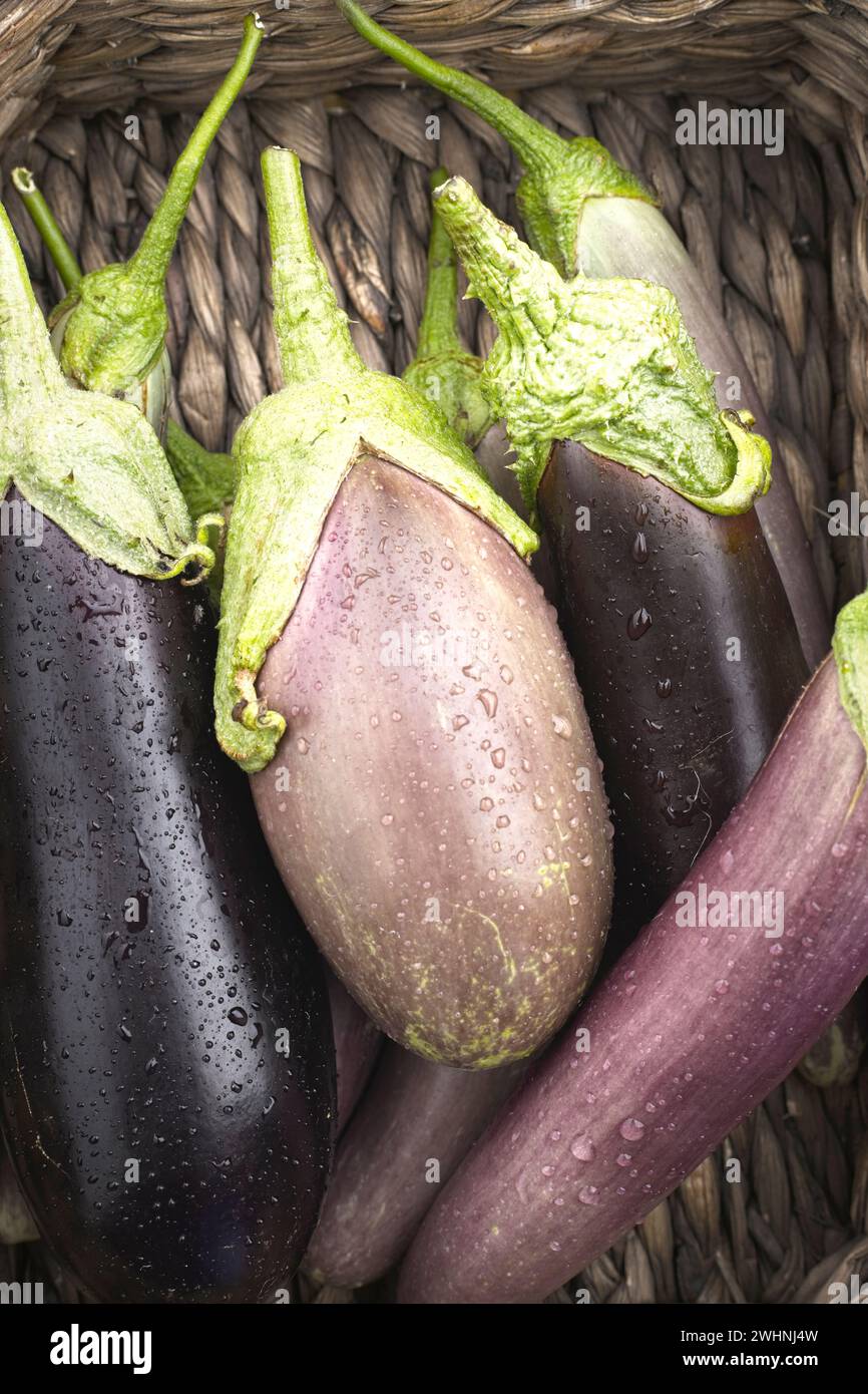 Posate di varie melanzane in un cestino. Foto Stock