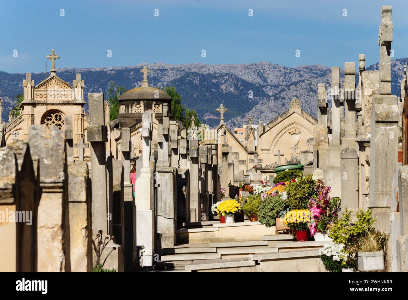 Cementerio de Palma Foto Stock