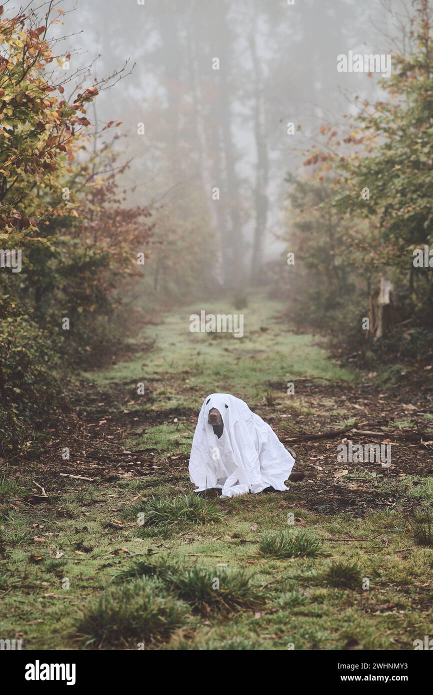 Il cane è travestito da piccolo fantasma Foto Stock