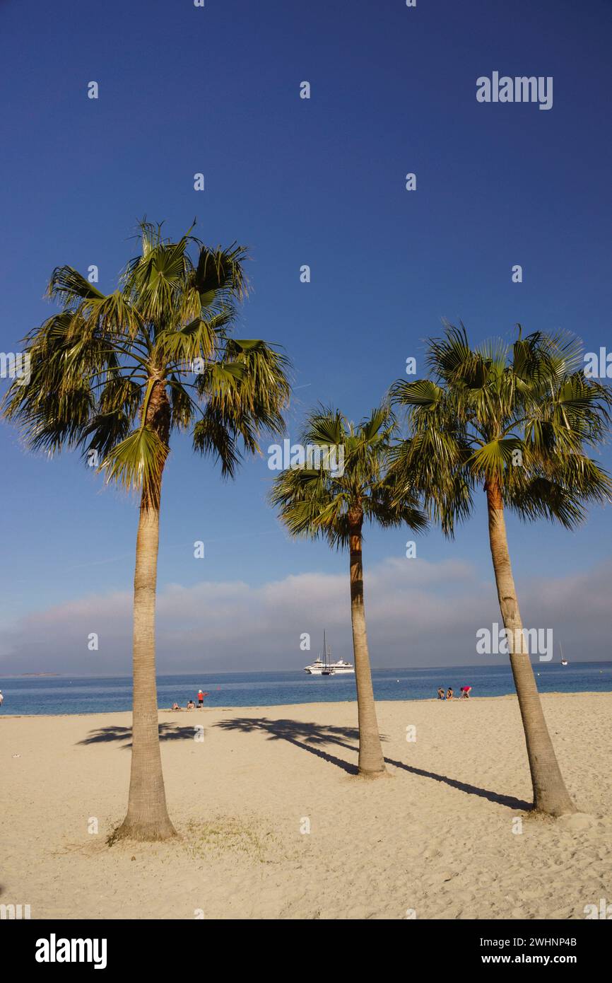 Playa de Son Maties Foto Stock