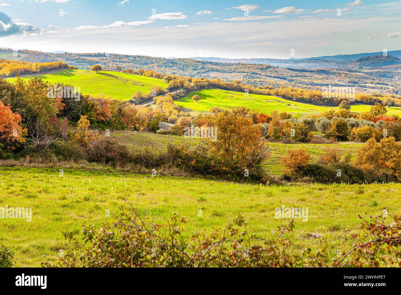 Pittoresche colline Foto Stock