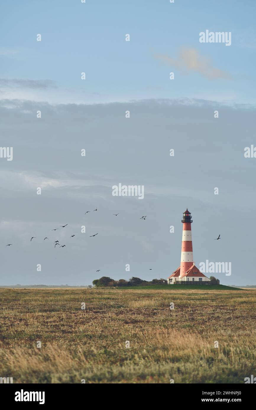 Faro di Westerheversand in Germania con greggi di uccelli nel cielo Foto Stock