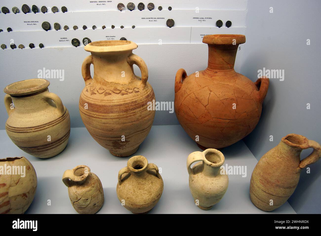 Vasijas punicas.Museo arqueologico.Eivissa.Ibiza.Islas Pitiusas.Baleares.EspaÃ±a.. Foto Stock