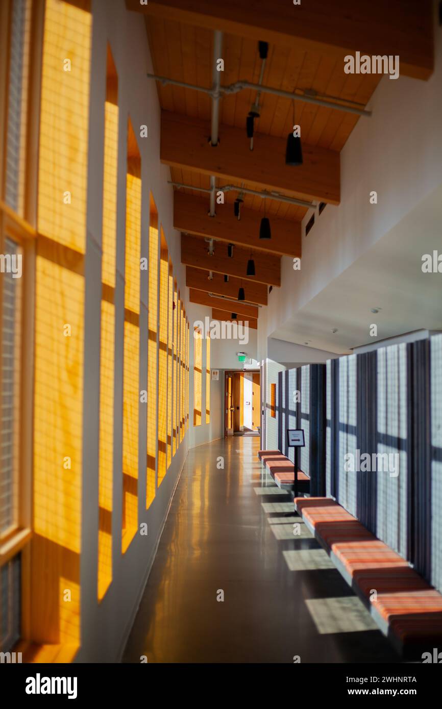 La luce del sole scorre attraverso un corridoio vibrante, illuminando lo spazio con un bagliore caldo e luminoso Foto Stock