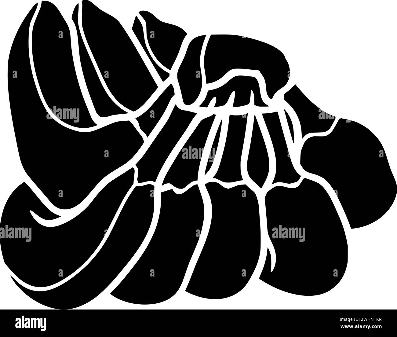 illustrazione della frutta sagoma del cibo logo tropicale icona della banana contorno albero pianta natura giardino maturo verde biologico sano forma naturale fattoria mazzo crescere Illustrazione Vettoriale