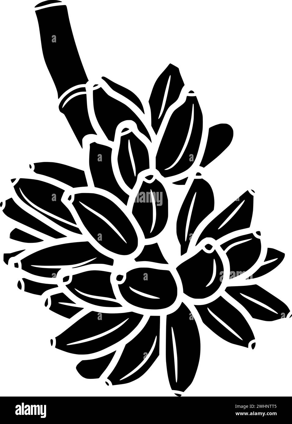 illustrazione della frutta sagoma del cibo logo tropicale icona della banana contorno albero pianta natura giardino maturo verde biologico sano forma naturale fattoria mazzo crescere Illustrazione Vettoriale