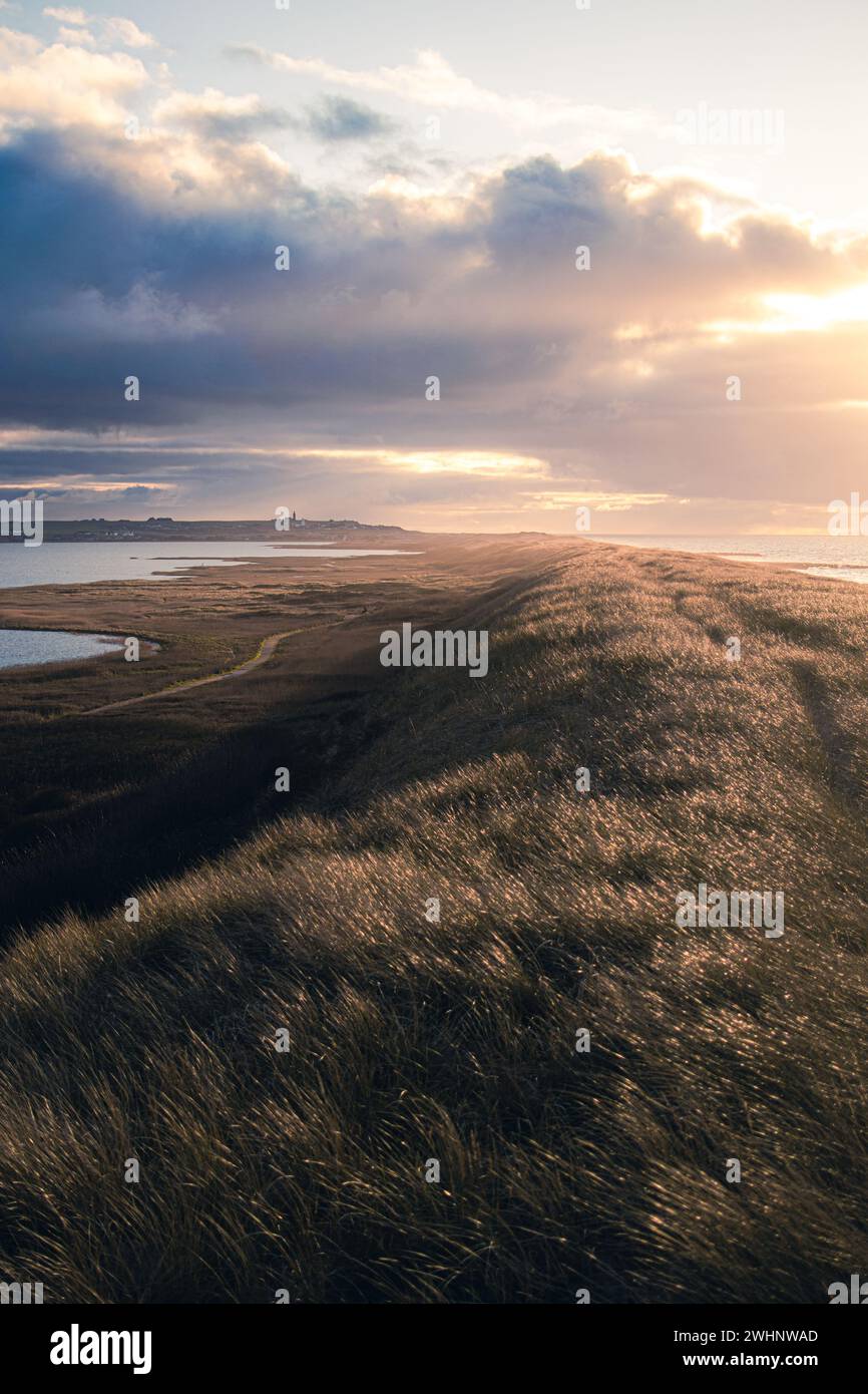 Dune sul lago Ferring sulla costa danese del mare settentrionale Foto Stock