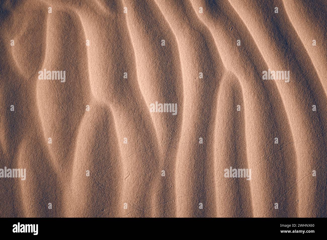 Consistenza di sabbia formata dal vento sulla spiaggia Foto Stock