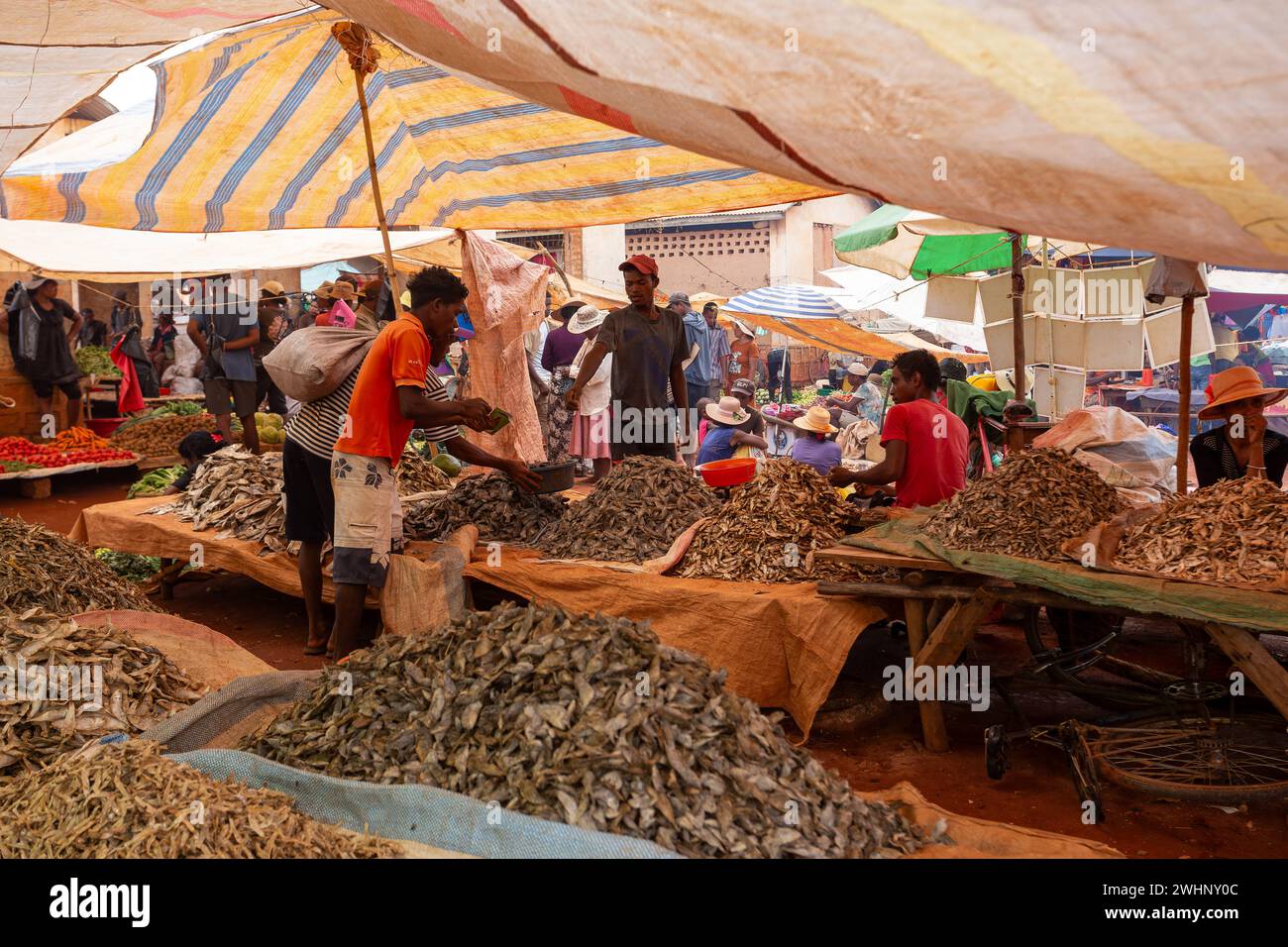 L'uomo malgascio compra pesce secco in un mercato di strada. La pesca è uno dei mezzi di sussistenza in Madagascar. Foto Stock