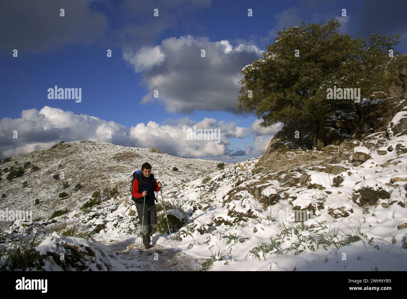 Cami de S'Archiduc. Valldemossa.Sendero de gran recorrido G.R. 221.Sierra de Tramuntana.Mallorca.Baleares.EspaÃ±a.. Foto Stock