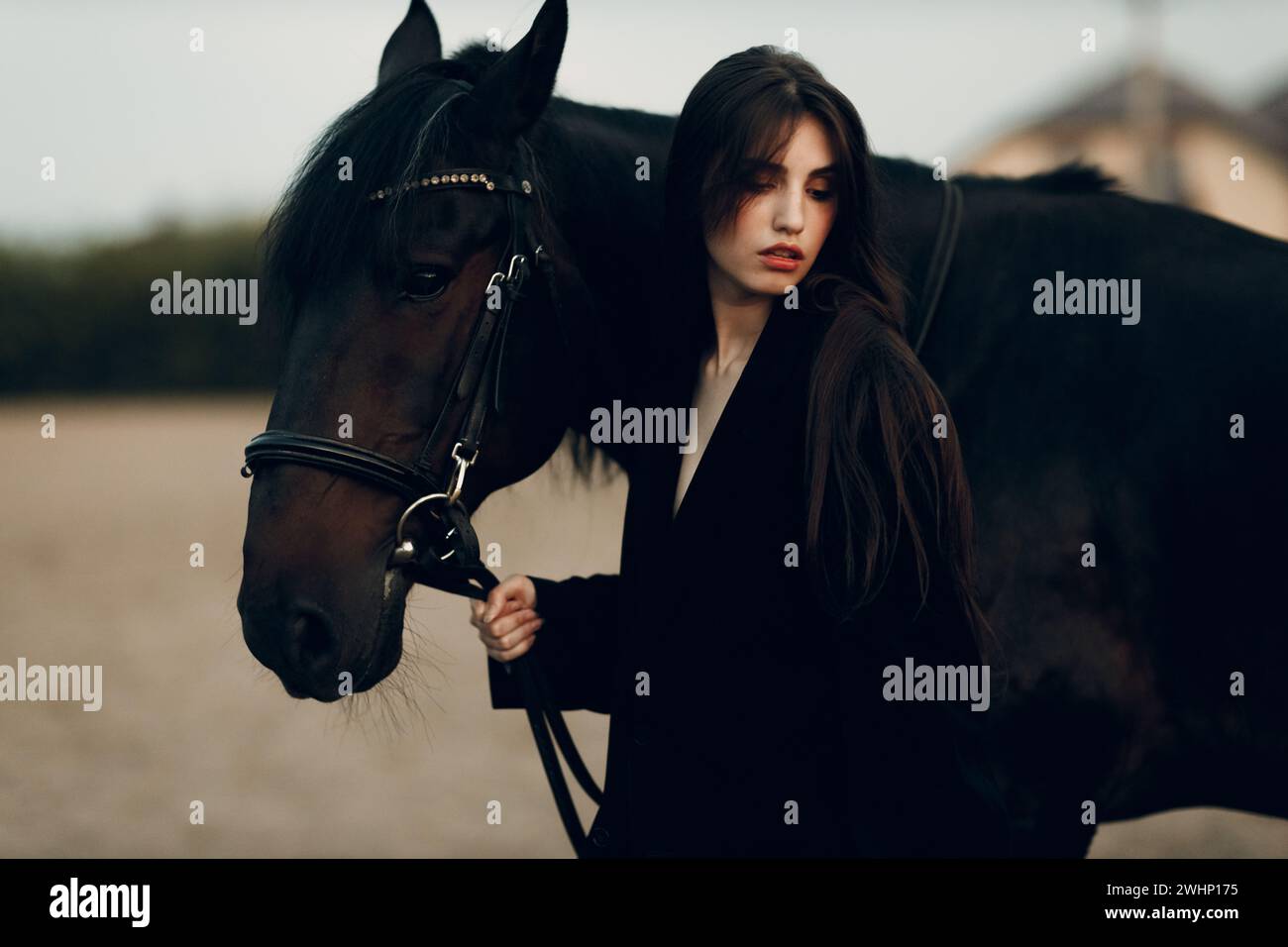 Giovane donna in nero con il suo cavallo al tramonto all'aperto. Foto Stock