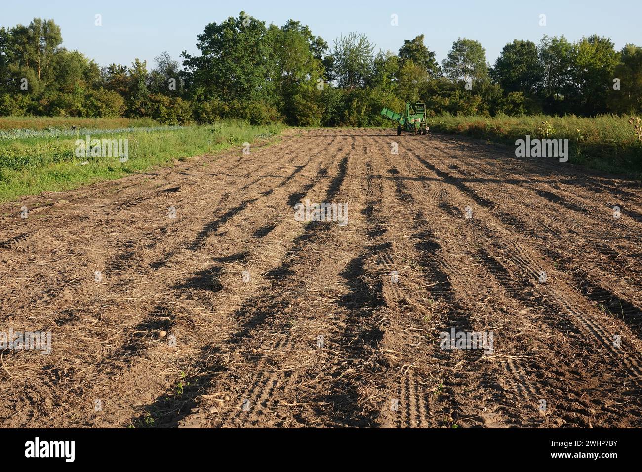 Terra, terreni agricoli Foto Stock