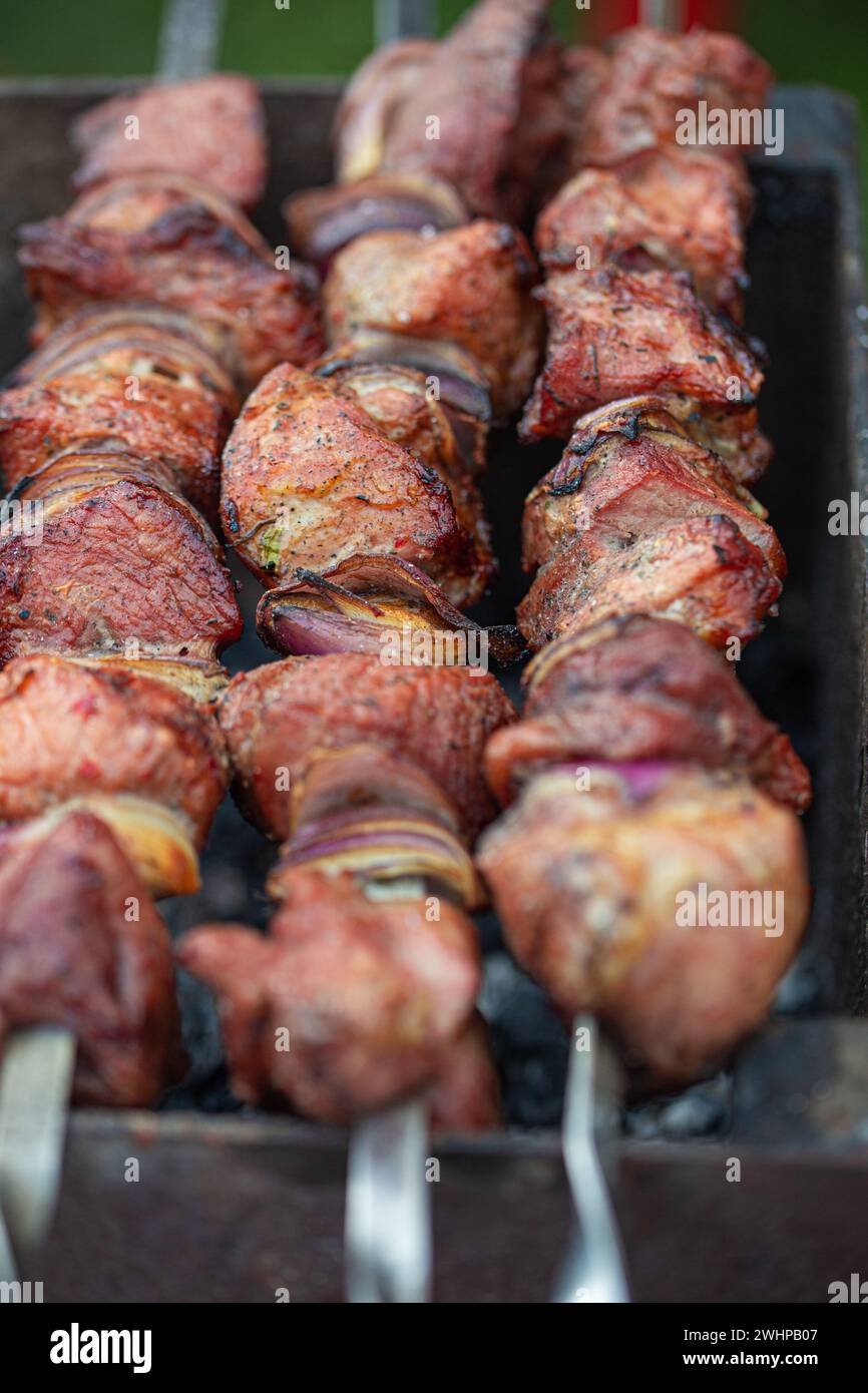 Picnic all'aperto con kebab di carne fresca alla griglia (shashlik) su spiedini d'acciaio su carbone di legna alla griglia. Barbecue durante il picnic estivo Foto Stock