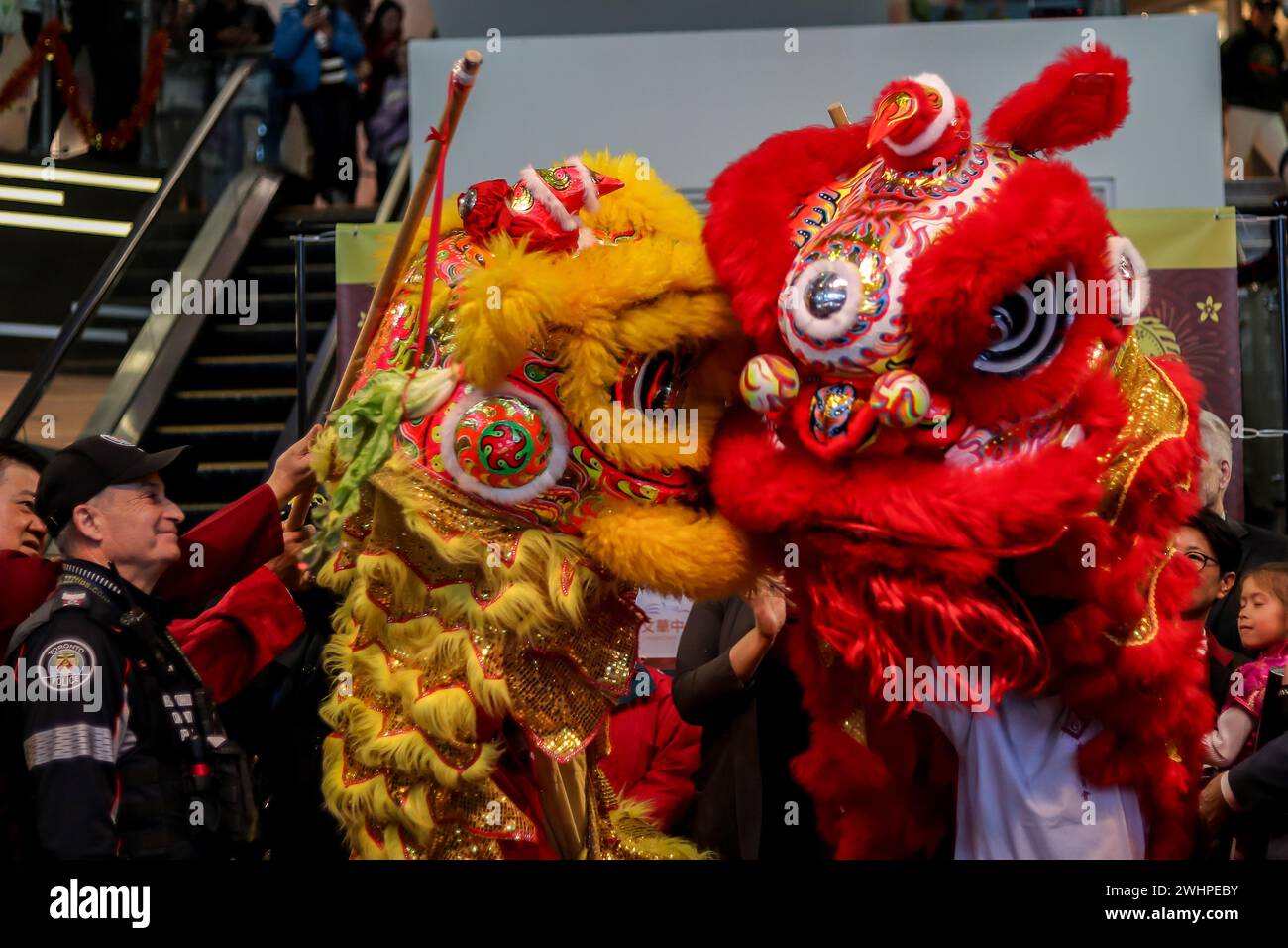 Toronto, Canada. 10 febbraio 2024. Una squadra di danza del leone cinese si esibisce per gli spettatori durante le celebrazioni per il Capodanno lunare cinese del drago. Il 2024 segna l'inizio del Drago di legno, che dovrebbe portare prosperità e ricchezza. (Foto di Arrush Chopra/SOPA Images/Sipa USA) credito: SIPA USA/Alamy Live News Foto Stock