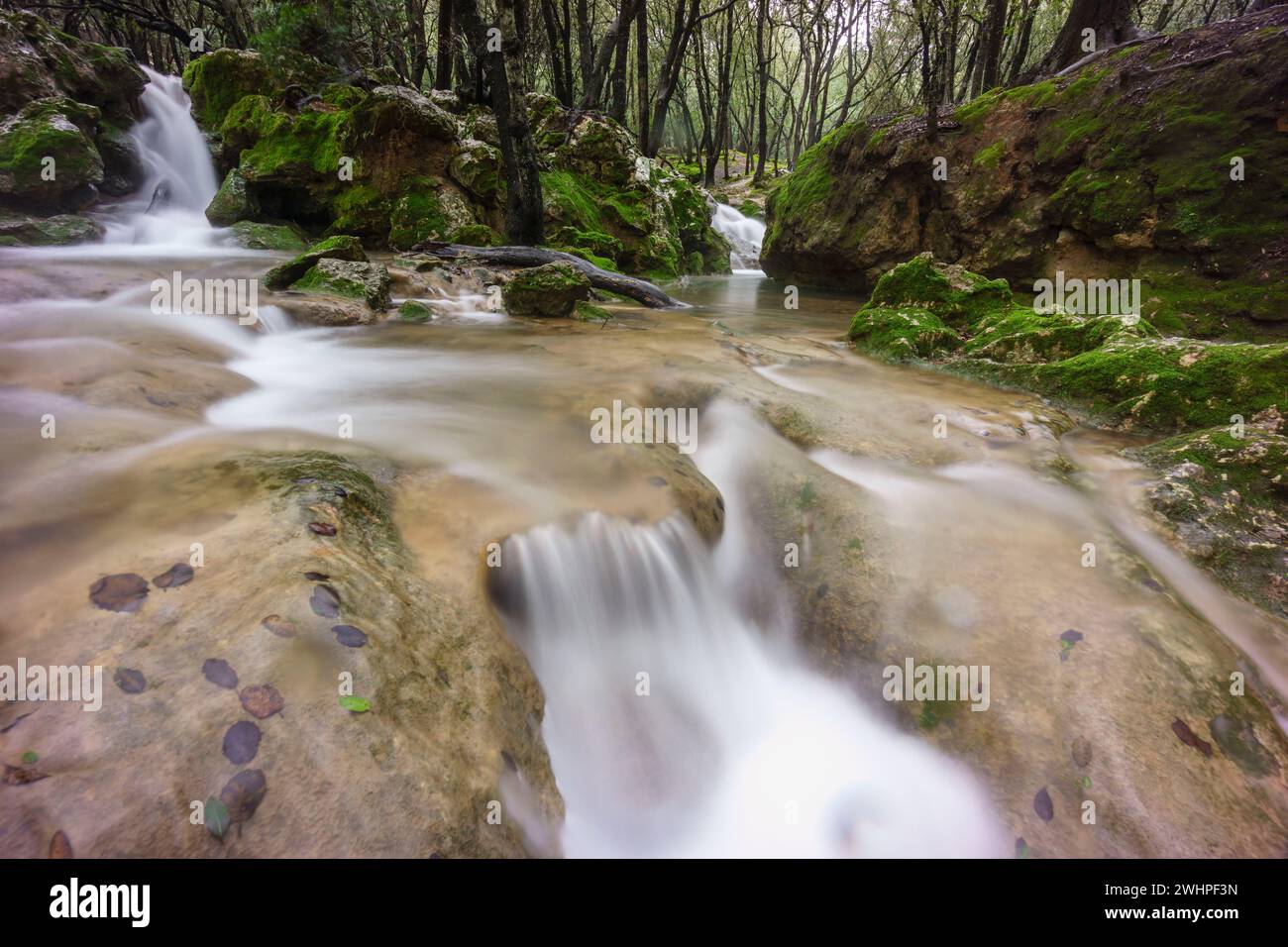 Torrente es Freu. Orientare Foto Stock