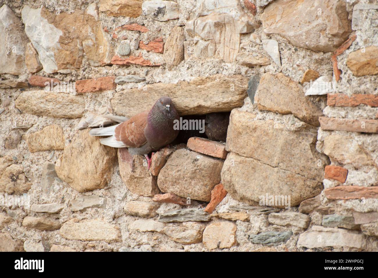 Francia - viaggi Foto Stock