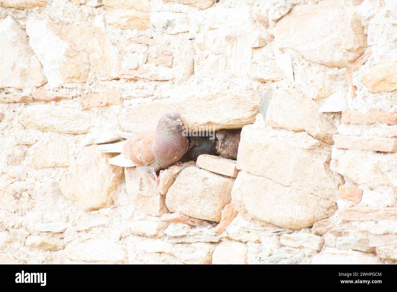 Francia - viaggi Foto Stock