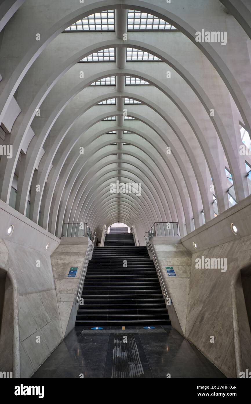 Scale nella stazione ferroviaria LiÃ¨ge-Guillemins, architettura moderna, Liegi, Vallonia, Belgio, Europa Foto Stock
