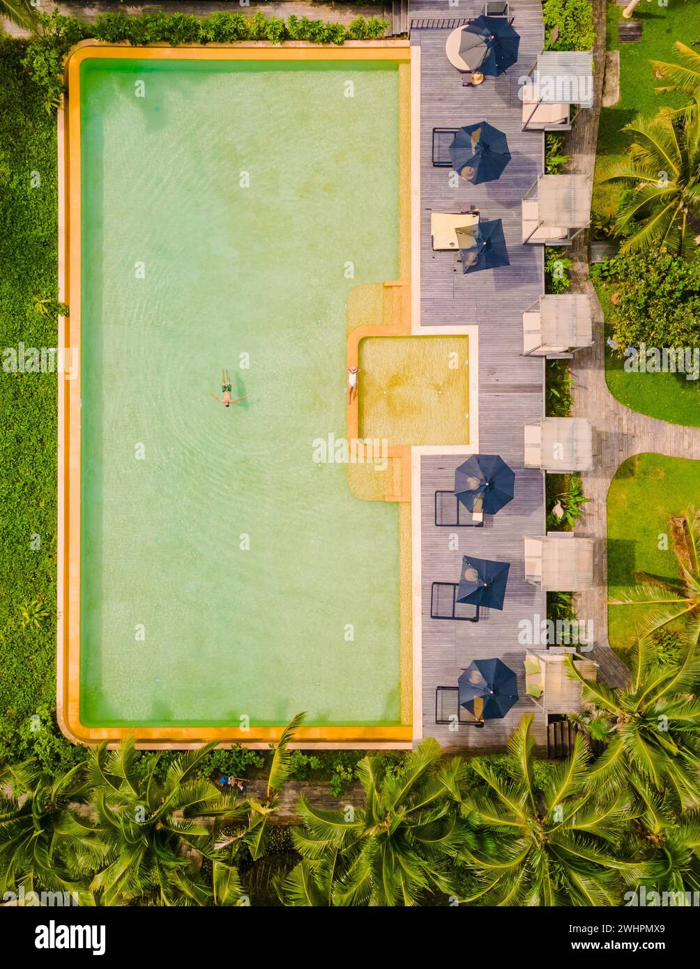 Vista aerea con droni su una piscina nella giungla della Thailandia, Foto Stock