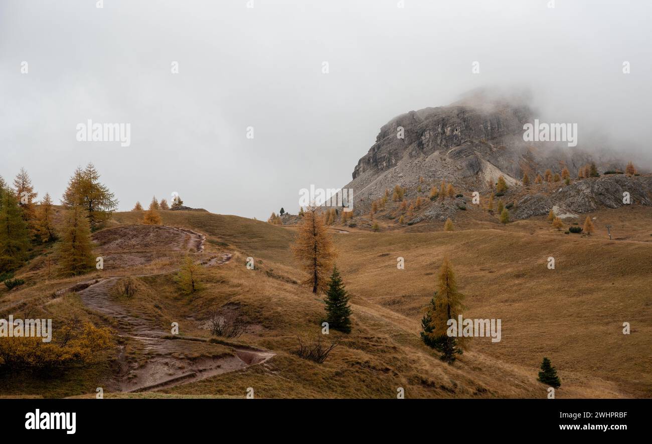 Paesaggio forestale autunnale nella valle del passo Falzarego. Catena montuosa dolomitica Italia. alp italiani stagione autunnale Foto Stock