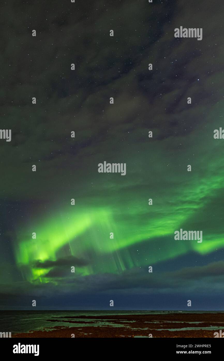 Aurora boreale sul mare in Islanda Foto Stock