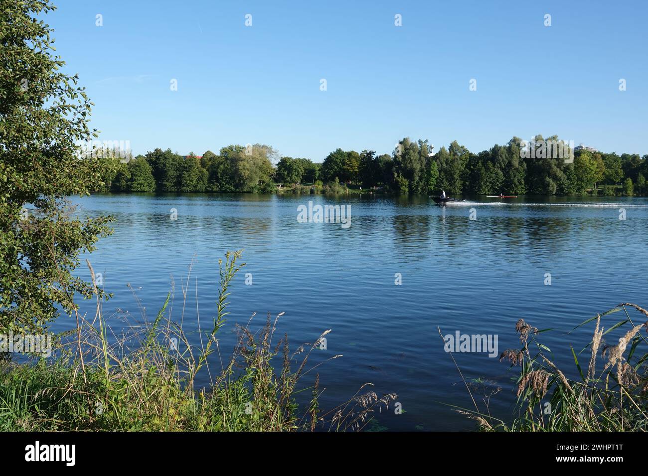 Donau, Danubio, l'azzurro meraviglioso Foto Stock