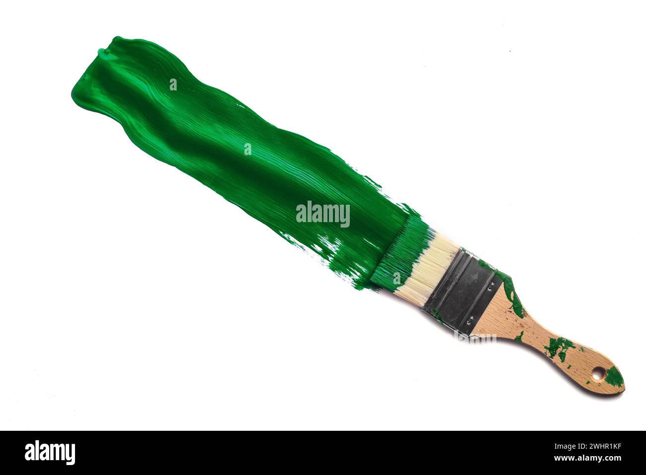 Pittura verde, pennello pittura un pennello di colore verde su sfondo bianco, simbolo di ecologia rispettosa dell'ambiente i Foto Stock