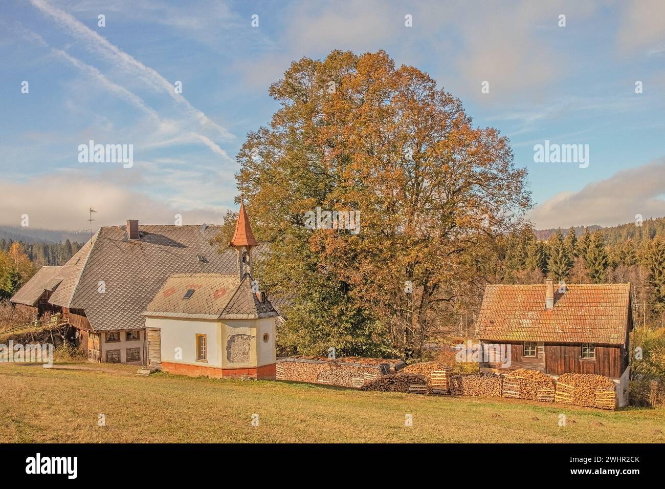 Jockelishof con cappella di corte distretto di Hinterzarten di Breisgau-Hochschwarzwald Foto Stock