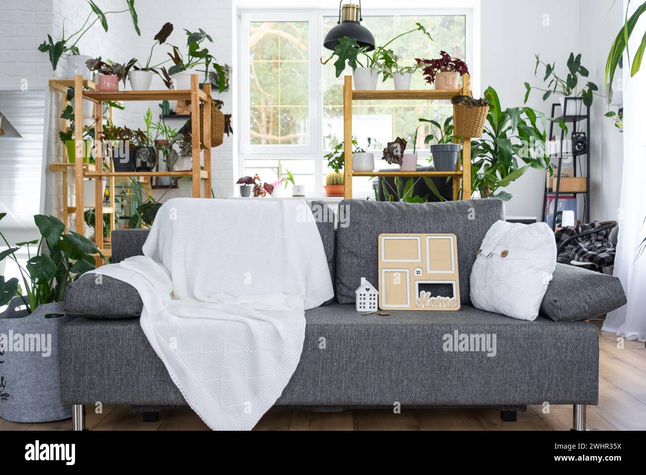 Chiave per la casa con portachiavi e struttura in miniatura della casa su divano grigio con interni bianchi con piante in vaso. Progettazione, progettazione Foto Stock
