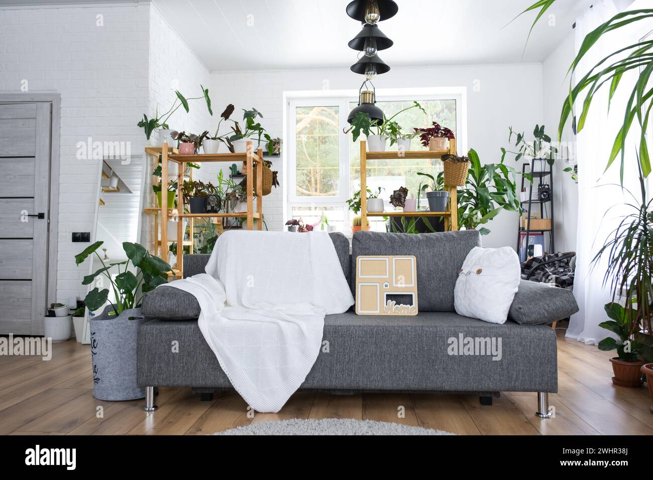Chiave per la casa con portachiavi e struttura in miniatura della casa su divano grigio con interni bianchi con piante in vaso. Progettazione, progettazione Foto Stock
