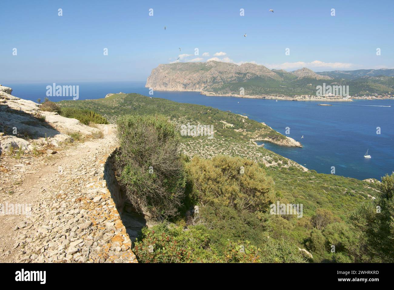 Morro d'en Fabioler desde el cammino de Na Popia.Parque Natural de sa Dragonera.Andratx.Ponent.Mallorca.Baleares.EspaÃ±a.. Foto Stock