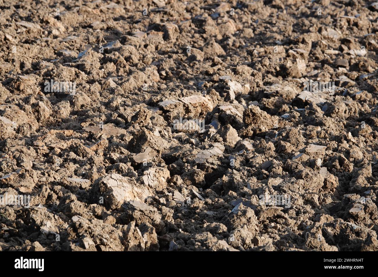 Terreno, terra arata Foto Stock