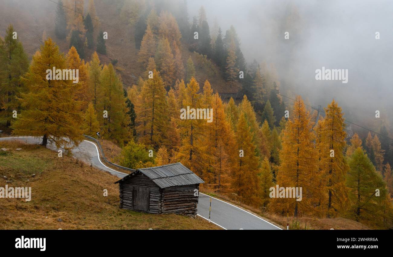 Paesaggio autunnale nella foresta. capanna in legno nella valle. Alberi gialli. Stagione autunnale Foto Stock