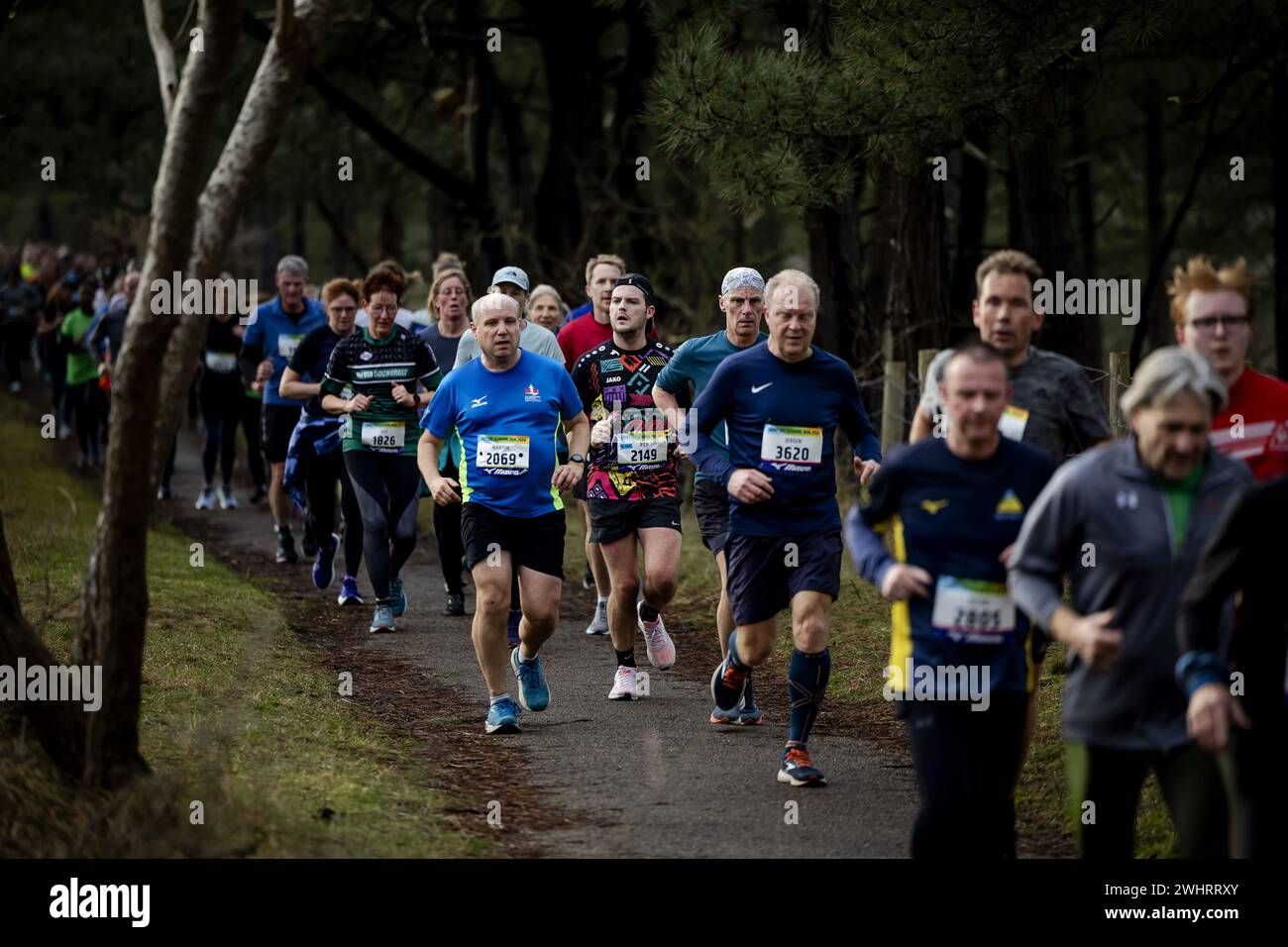 BERGEN - Recreationalists in action during Greetings from Schoorl Run 2024, ten kilometer run. ANP ROBIN VAN LONKHUIJSEN netherlands out - belgium out Foto Stock