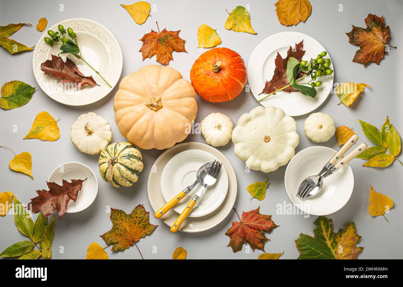 Composizione del tavolo per le feste del Ringraziamento con diverse zucche colorate, foglie autunnali, piatti vuoti con posate in grigio chiaro Foto Stock