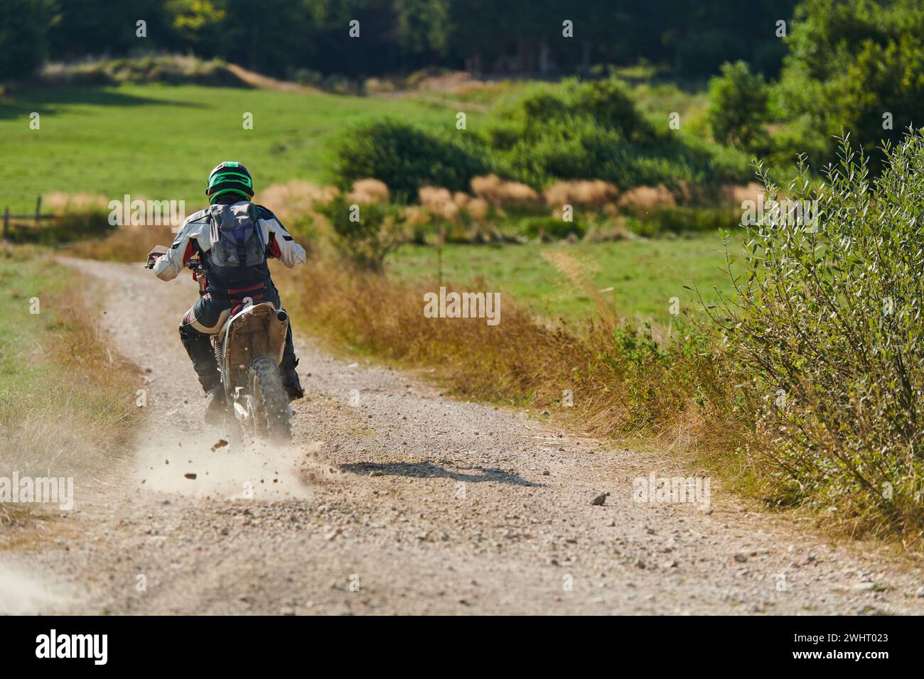 Un pilota professionista di motocross che guida in moto un insidioso sentiero fuoristrada nella foresta. Foto Stock