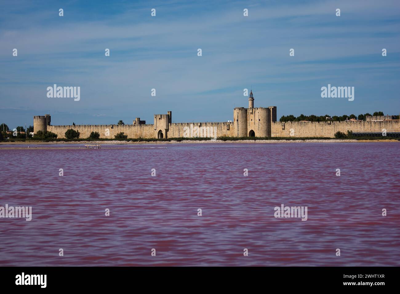 Giardini di sale di fronte alla città di Egmont nella francia meridionale Foto Stock