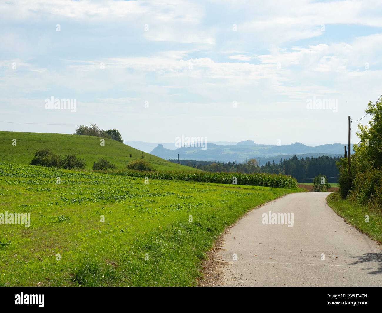 Engen, Germania - 3 ottobre 2023: Strada di campagna che attraversa le colline con vista sulle Alpi Foto Stock