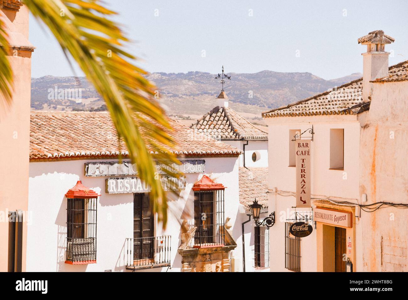 Una vista panoramica dei vecchi edifici e delle palme in una giornata di sole a Ronda, Spagna Foto Stock