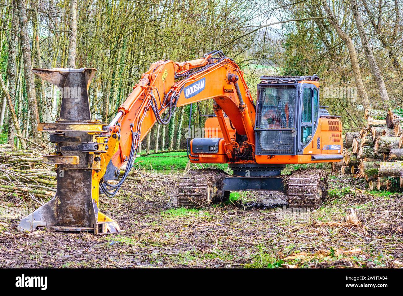 Macchina cingolata idraulica Doosan DX225LC dotata di braccio per tronchi/alberi - Francia centrale. Foto Stock