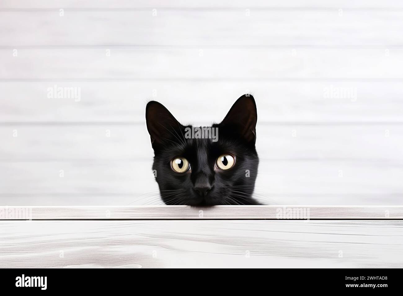 Il gatto nero giocoso sbircia da dietro le tavole di legno. Concetto di festa di buon Halloween Foto Stock