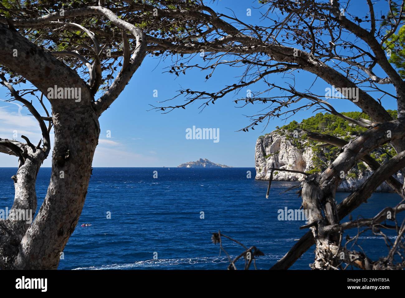 Ile de Riou e la Calanque d'EN Vau incorniciati dai rami di pini di Pointe de la Cacau. Parco nazionale delle Calanques, Cassis, Francia Foto Stock