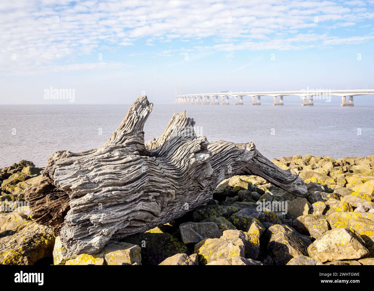 Prince of Wales Bridge o Severn Crossing and flotsam log in Morning Mist - Severn Beach Gloucestershire UK Foto Stock
